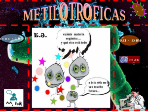 Bacterias-metilotrofas