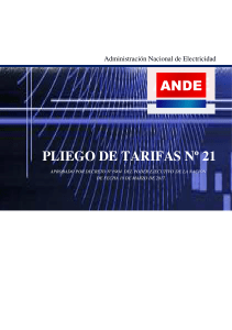 PLIEGO21-ANDE 1