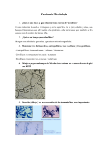 Cuestionario Microbiología