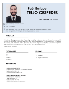 Paul Tello Cespedes CV 2020 INGLES