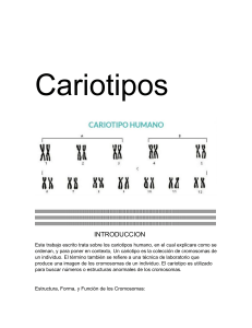 Cariotipos
