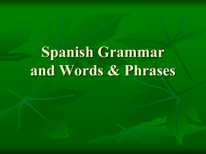 Spanish Grammar and Words & Phrases (Inglés) (Presentación) autor Texas Municipal Courts Education Center (1)