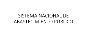 SISTEMA NACIONAL DE ABASTECIMIENTO PUBLICO