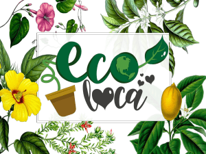 Catálogo de productos Ecoloca Marzo 2021