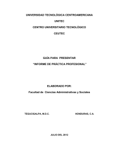 2 Guia Informe Practica Ene 2013
