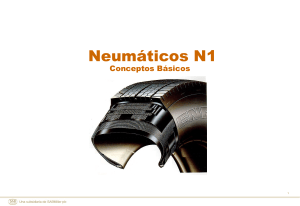 Neumaticos N1  presentacion  de anibal sotacuro