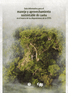 Guia-Caoba-CITES-v8 7Oct19