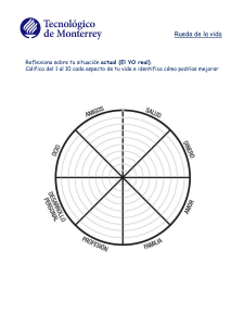 4 Ejercicio Rueda de la vida