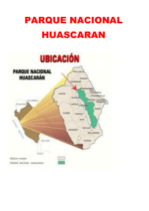 AFICHE PARQUE HUASCARAN