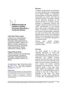 Lázaro, Julio y Ostrosky-Solís, Feggy (2008) Neuropsicología de lóbulos frontales funciones ejecutivas y conducta humana