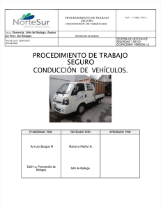 pdf-procedimiento-de-trabajo-seguro-conduccion