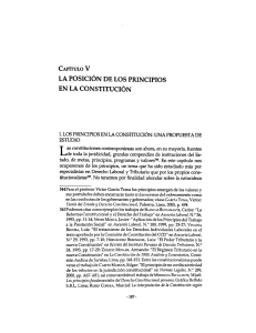 LOS PRINCIPIOS CONSTITUCIONALES