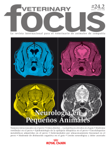 Veterinary Focus  2014  242es