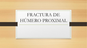 FRACTURA DE HÚMERO PROXIMAL- ANATOMIA