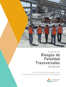 antofagasta-minerals sso-estandar-gestion-rf-transversales