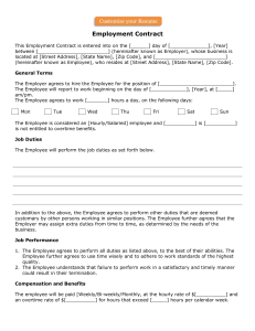 Employment Contract Example 