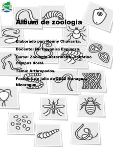 Álbum de Zoología