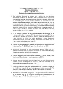 TC N° 12 Y 13 EJERCICIOS DE ENERGÍA BIOMASA Y GEOTÉRMICA.