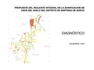 10.-Diagnostico-RIZ-Santiago-de-Surco-