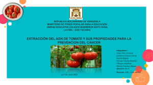 Laminas Proyeccto Extraccion ADN de Tomate