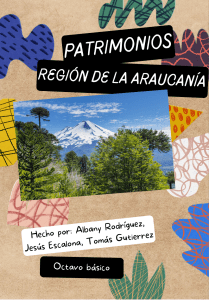 Patrimonios region araucania