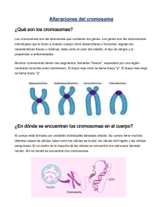 Alteraciones del cromosoma