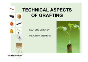 Technical aspects of grafting 1