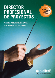 110261921-Director-de-Proyectos