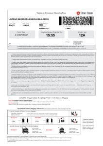 boarding pass preview