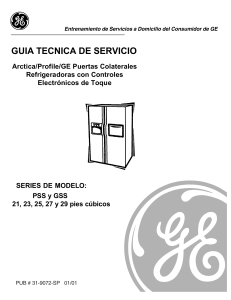 Manual Servicio PSS GSS