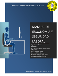 Manual de Ergonomia y Seguridad Laboral
