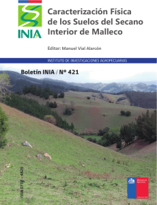 Caracterización física de los suelos del Secano Interior de Malleco