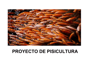 PROYECTO DE PISICULTURA (2)