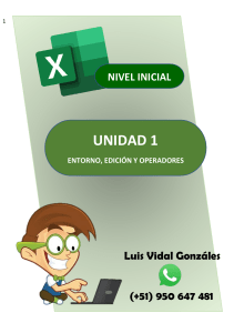 Manual de Excel Inicial - Unidad 01 - Luis Vidal Gonzáles