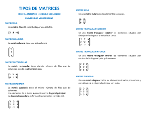 10a.-TIPOS-DE-MATRICES-1