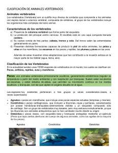 17. CLASIFICACIÓN DE ANIMALES VERTEBRADOS