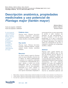 Descripción Anatómica Propiedades Medicinales