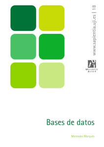 Bases-de-Datos