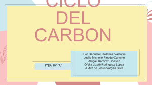CICLO-DEL-CARBON