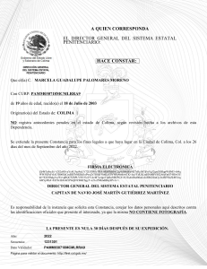 Constancia de no penales Plantilla PDF EDITABLE EN ILUSTRADOR 