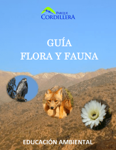 GUIA-Flora-y-Fauna
