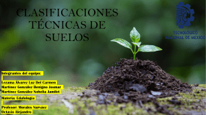 CLASIFICACIONES TÉCNICAS DE SUELOS (1)