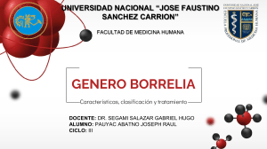 GENERO BORRELIA 