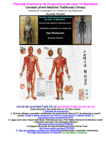 Acupunctura Atlas