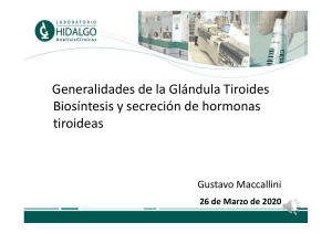 Generalidades Tiroides - Dr. Maccallini