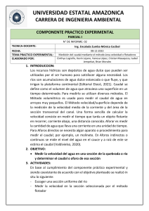 INFORME CPE-02-UEA