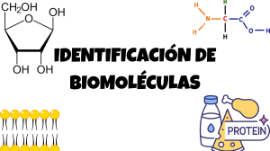 Práctica para la Identificación de biomoléculas (lípidos, proteínas y carbohidratos)