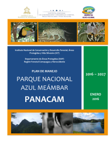Plan de Manejo - Parque Nacional Azul Meámbar