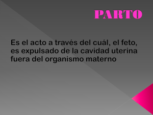 Parto y Puerperio - Clase  2
