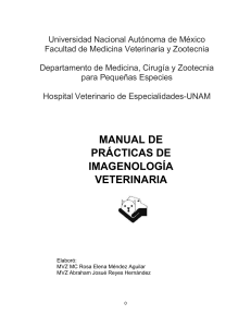 Manual de Prácticas Imagenología Veterinaria UNAM